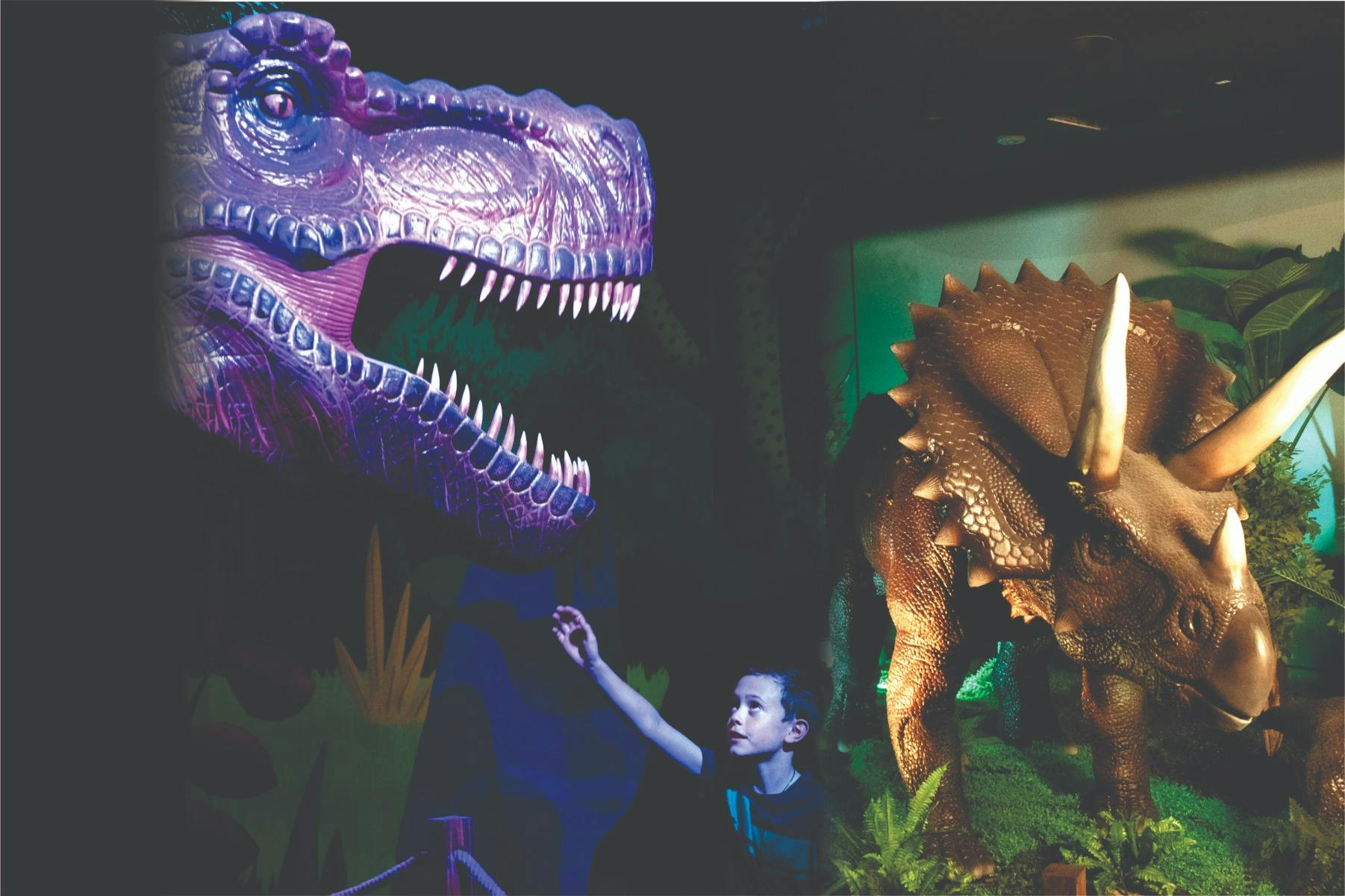 Dinosaur Outpost Tickets - Photo 1 of 9